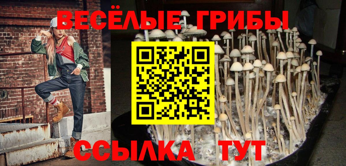 Псилоцибиновые грибы Psilocybine cubensis  Вход с VPN  Галлюциногенные грибы ЛСД  Шарыпово 